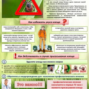 Сезон клещей